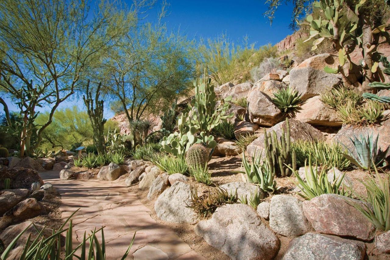 The Canyon Suites At The Phoenician, A Luxury Collection Resort, Scottsdale Paradise Valley Eksteriør billede