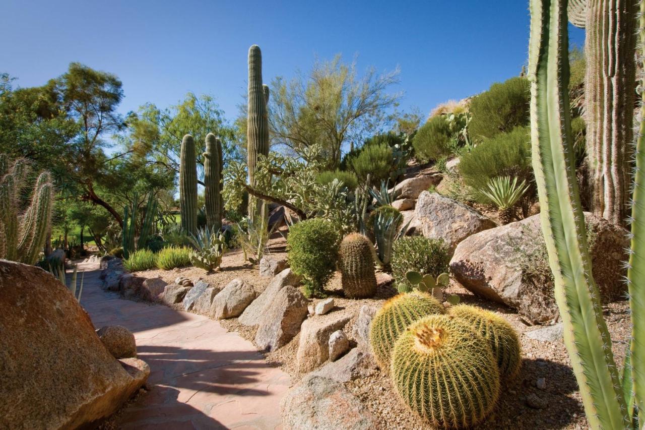 The Canyon Suites At The Phoenician, A Luxury Collection Resort, Scottsdale Paradise Valley Eksteriør billede