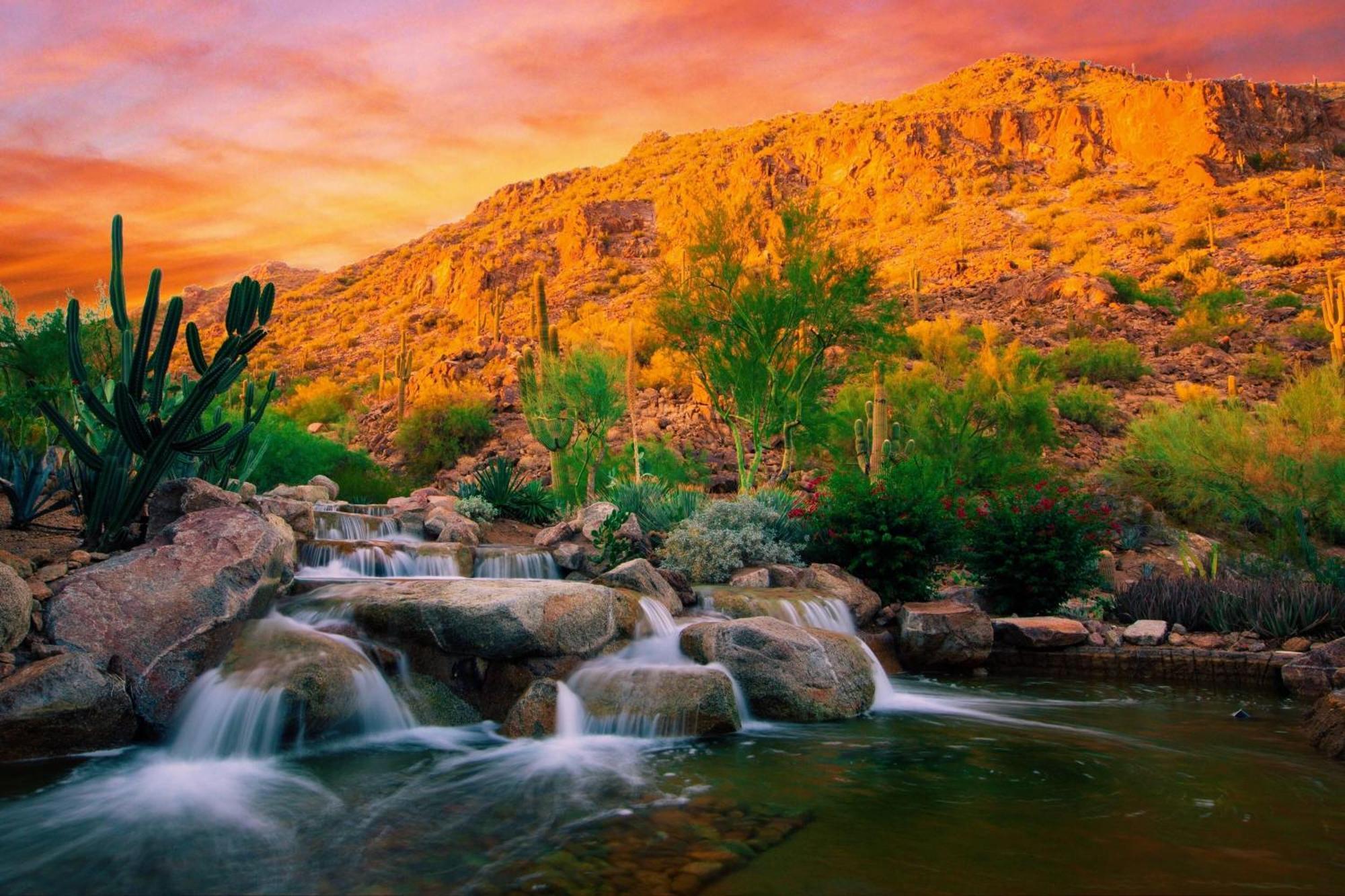 The Canyon Suites At The Phoenician, A Luxury Collection Resort, Scottsdale Paradise Valley Eksteriør billede